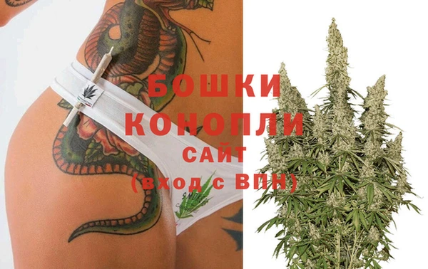 PSILOCYBIN Заволжск