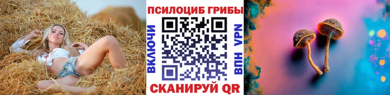 Купить закладки  Заинск  Псилоцибиновые грибы MAGIC MUSHROOMS 